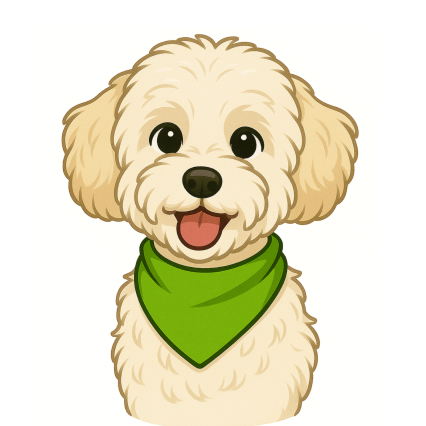 In home South Austin pet sitting for senior dog